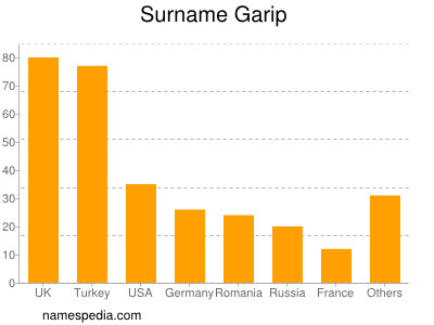 Surname Garip