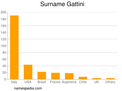 Surname Gattini