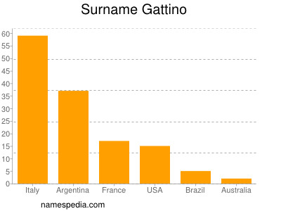 Surname Gattino