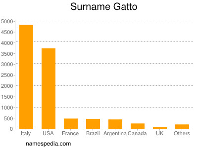 Familiennamen Gatto