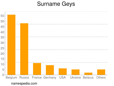 Surname Geys