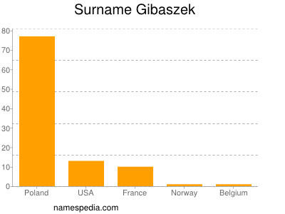 Surname Gibaszek