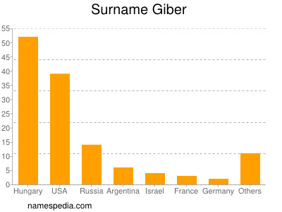 Familiennamen Giber