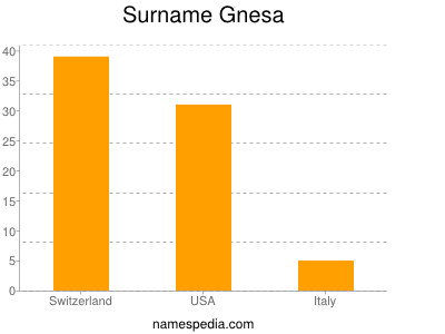 Surname Gnesa