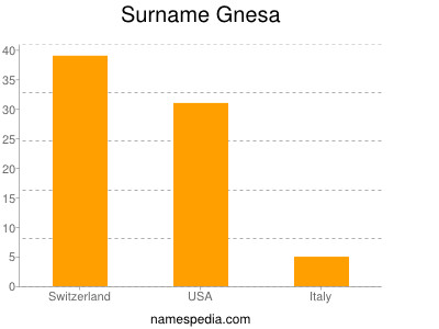 Surname Gnesa