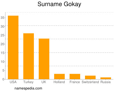 Familiennamen Gokay