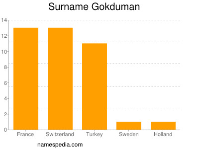 Familiennamen Gokduman