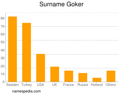 Surname Goker