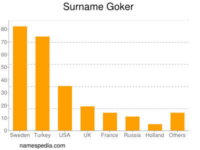 Familiennamen Goker