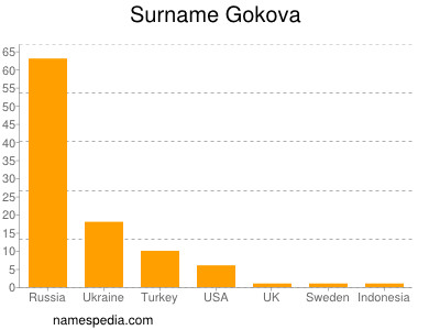 Familiennamen Gokova