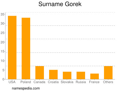 Surname Gorek