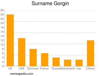 Surname Gorgin