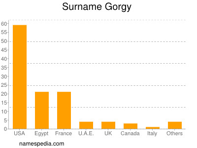 Surname Gorgy