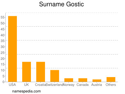 Surname Gostic