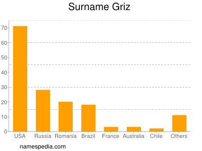 Familiennamen Griz