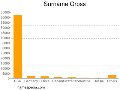 Familiennamen Gross