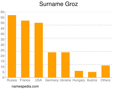 Surname Groz