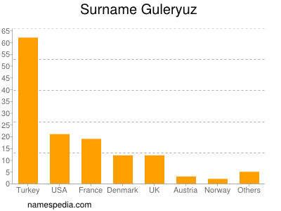 Familiennamen Guleryuz