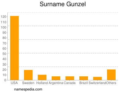 Surname Gunzel