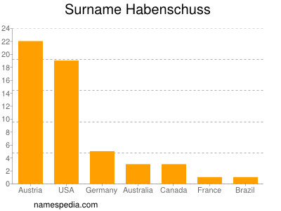 Surname Habenschuss