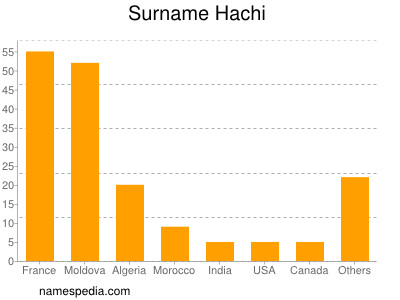 Familiennamen Hachi