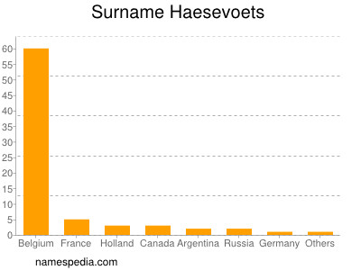 Familiennamen Haesevoets