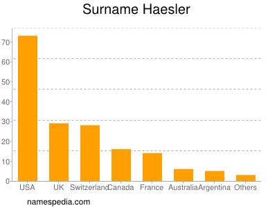 Surname Haesler