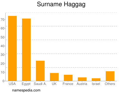 Familiennamen Haggag