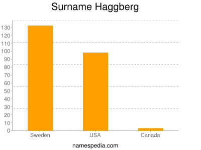 Familiennamen Haggberg