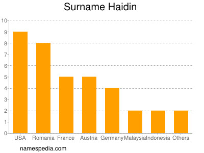 Surname Haidin