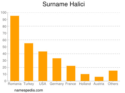 Familiennamen Halici