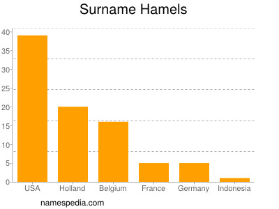 Familiennamen Hamels