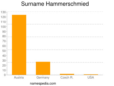 Surname Hammerschmied