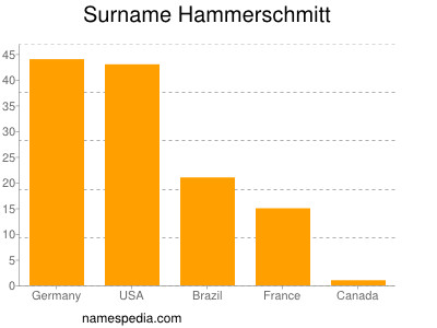 Surname Hammerschmitt