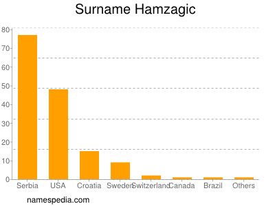 Familiennamen Hamzagic
