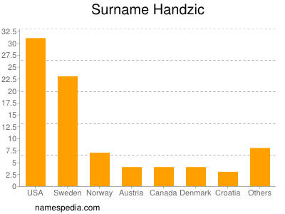 Familiennamen Handzic