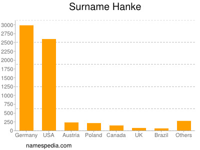 Familiennamen Hanke