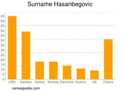 Surname Hasanbegovic