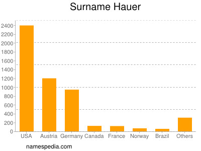 Familiennamen Hauer