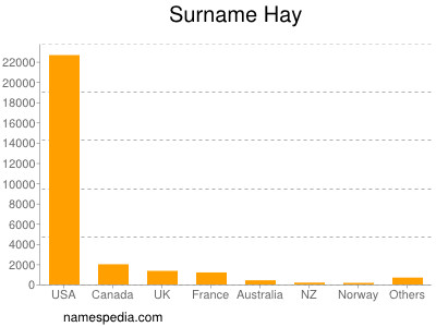 Familiennamen Hay