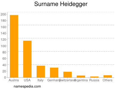 Surname Heidegger
