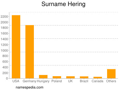 Familiennamen Hering