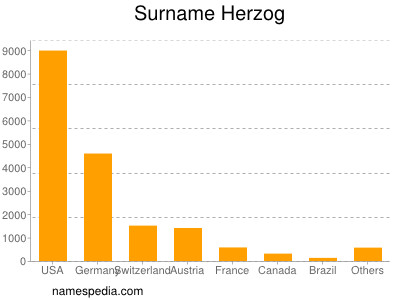 Familiennamen Herzog