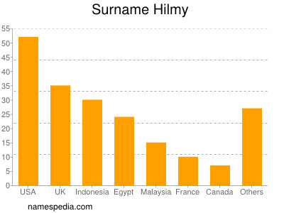 Familiennamen Hilmy