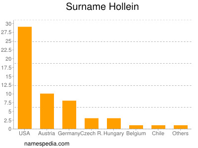 Familiennamen Hollein