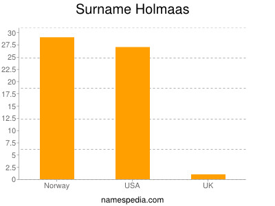 Familiennamen Holmaas
