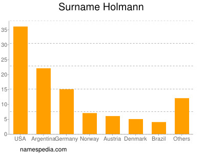 Familiennamen Holmann