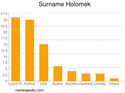 Surname Holomek