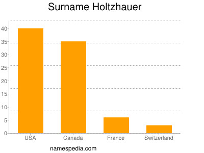 Familiennamen Holtzhauer