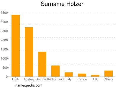 Familiennamen Holzer